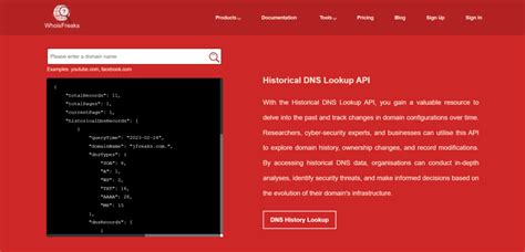 historical dns record lookup.